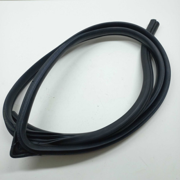 Borracha Porta Dianteira Direita Hyundai I30 2011 Cx1861