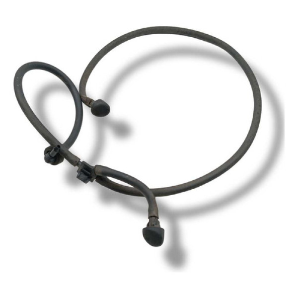 Mangueira Brucutu Esguicho Parabrisa Renault Clio 2010