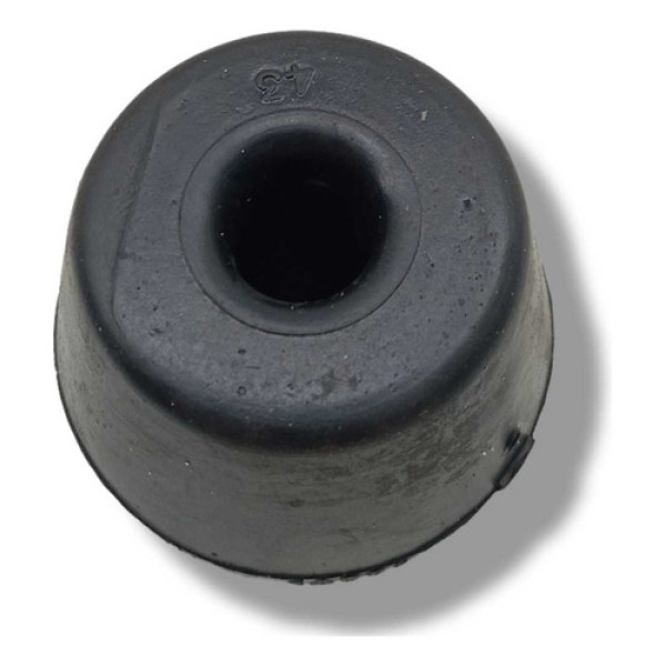 Coxim Radiador Renault Clio 1.0 2005 7700842041c