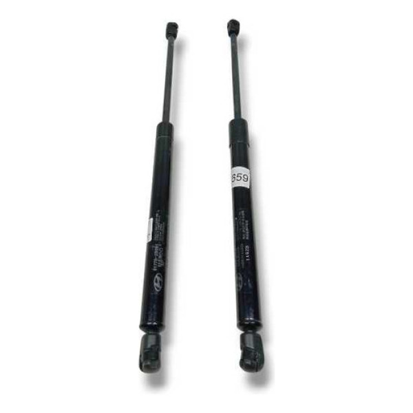 Par Amortecedor Tampa Traseira Santa Fé 2012 Cx2339