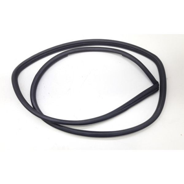 Borracha Porta Traseira Esquerda 1.5 2019 Cx1605 